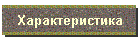 Характеристика
