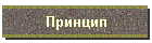 Принцип